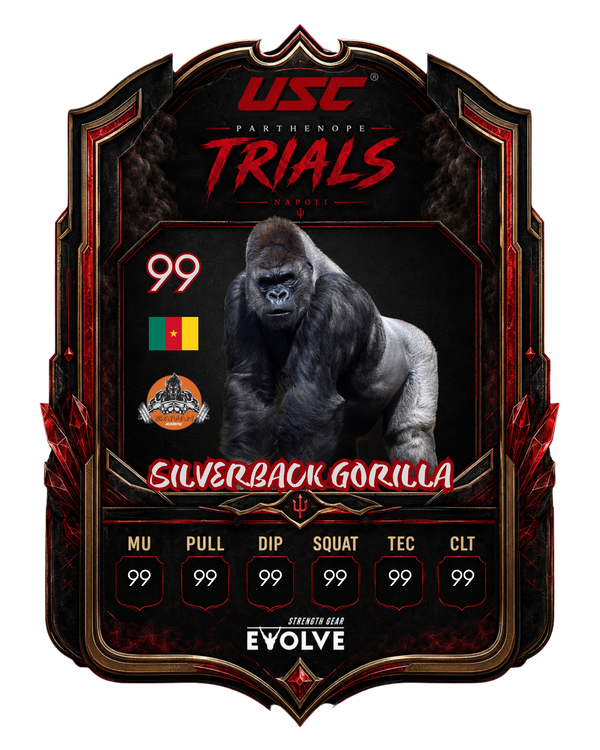 Silverback Gorilla